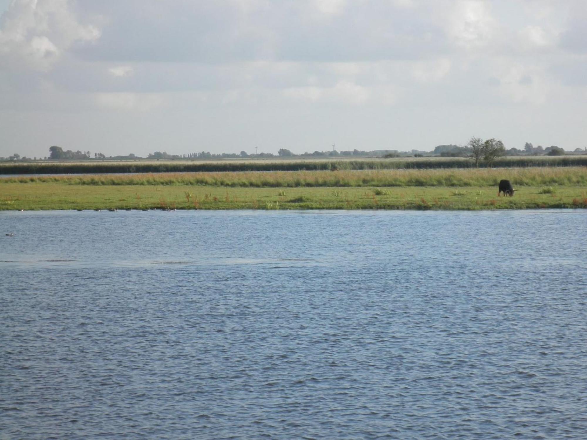 Het Kleine Huis Mobile Home By The Harbour And The Lauwersmeer Anjum Екстериор снимка